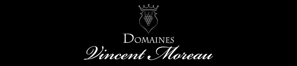 domainesvincentmoreau.com